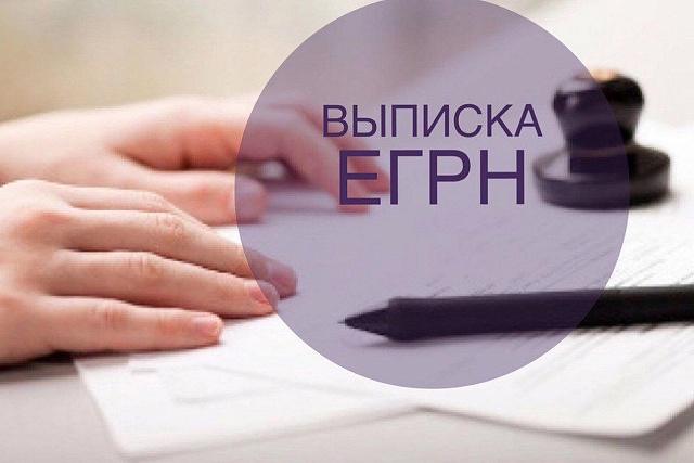 Теневой рынок выписок из ЕГРН сокращен на 99%